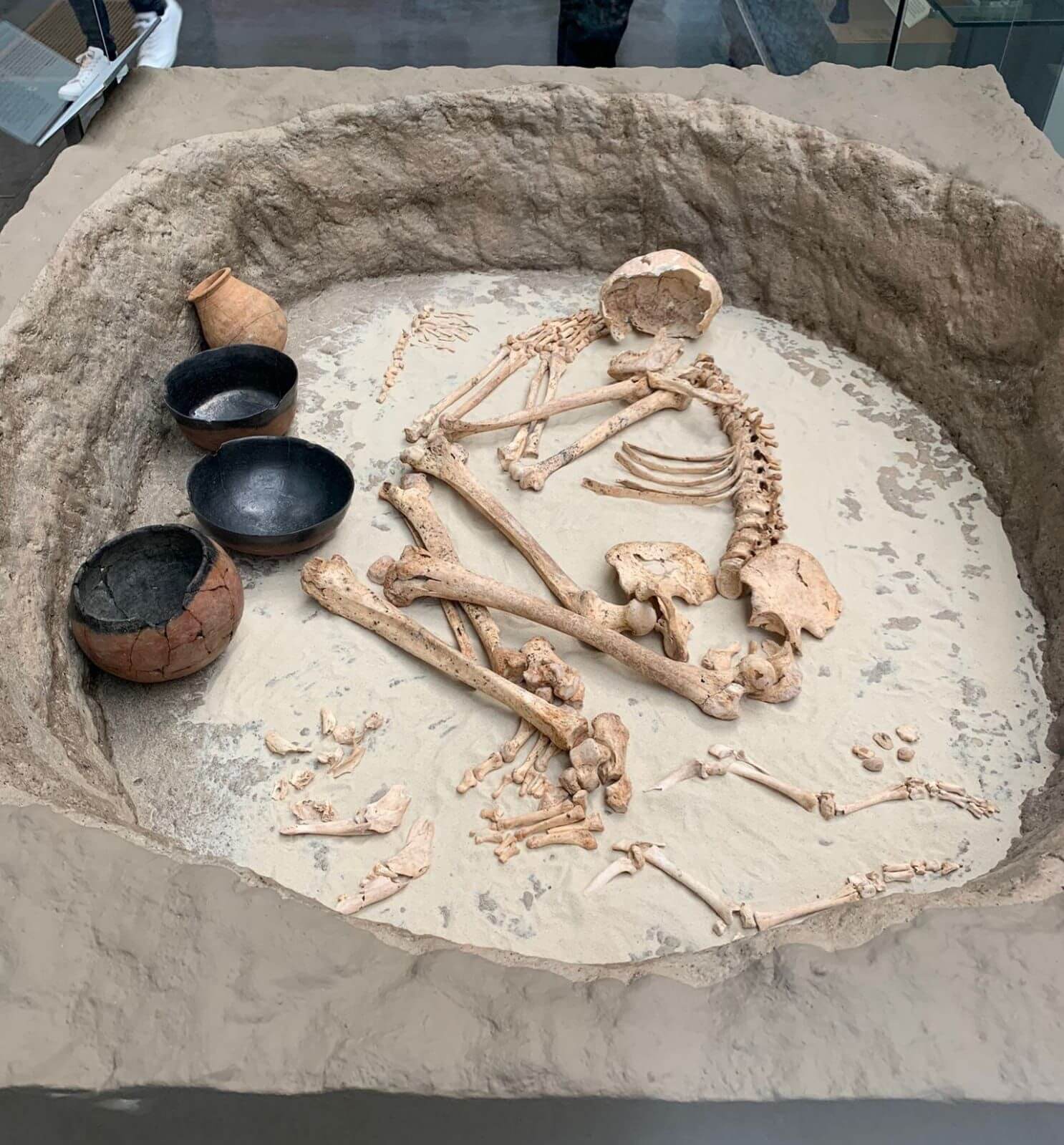 A skeleton is lying down in a fetal position in a wider circular stone pit. To the left of the skeleton is two ceramic bowls, one ceramic jug, and a cracked ceramic bowl. Surround the skeleton by its\' feet and head are other smaller bones from animal parts.